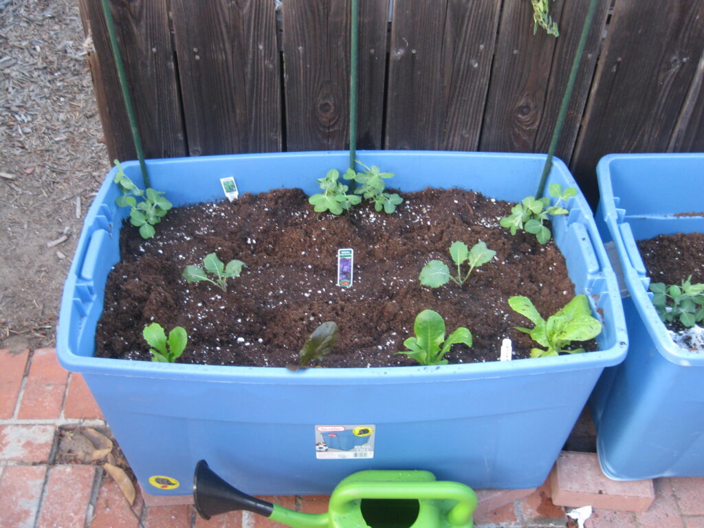 plastic tubs raised garden bed ideas