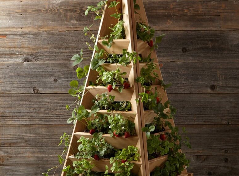 pyramid shape planter