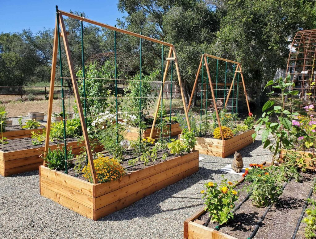 raised garden bed ideas with supportive cages