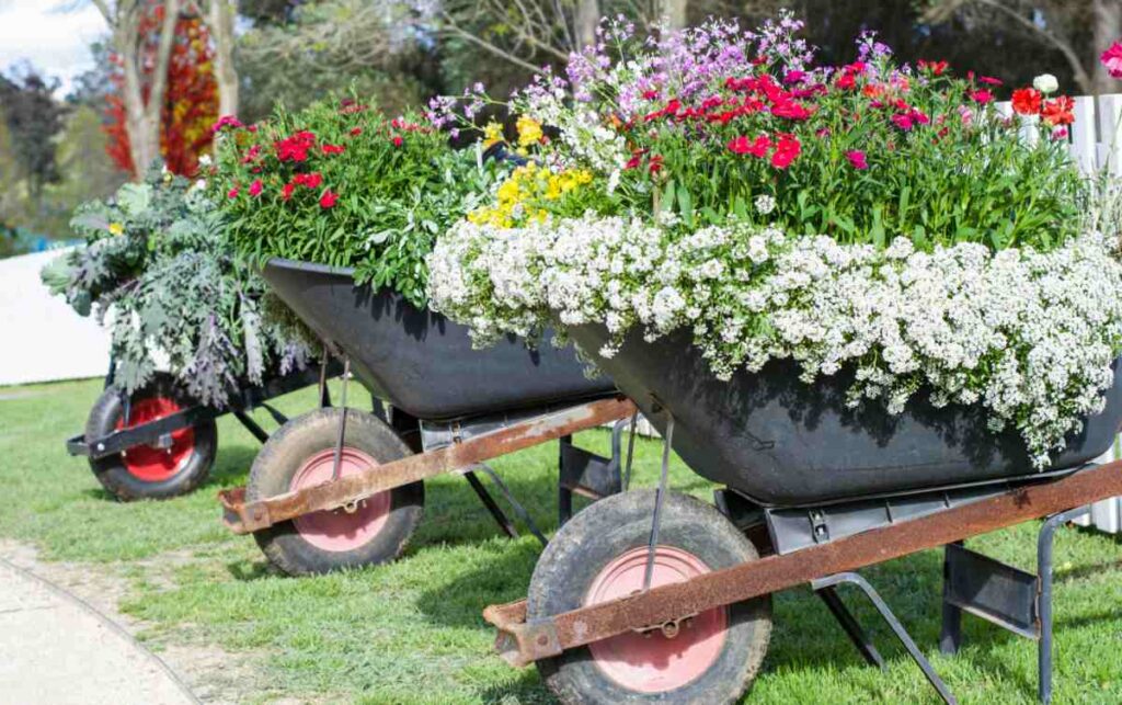 raised garden bed ideas with wheelbarrow