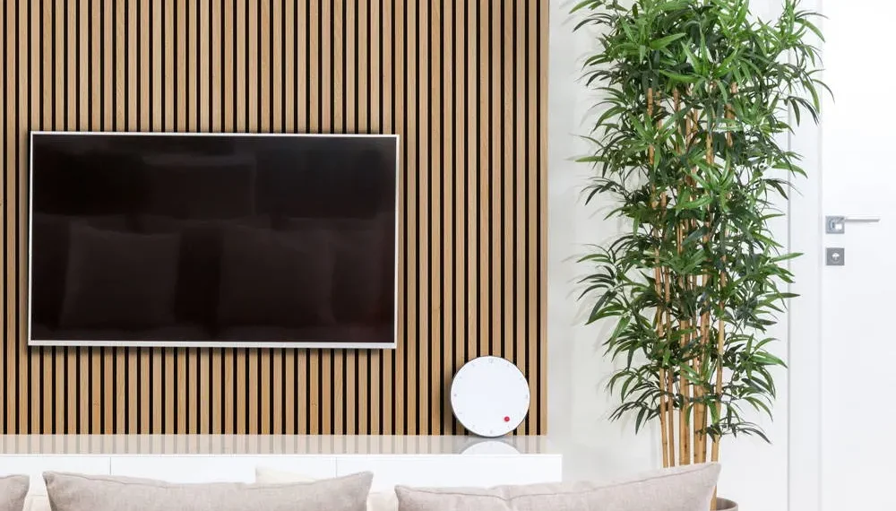 slat wall panel behind the TV