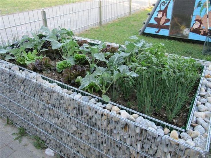 stone raised garden bed ideas with mesh