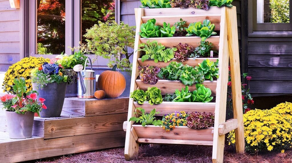 DIY vertical garden
